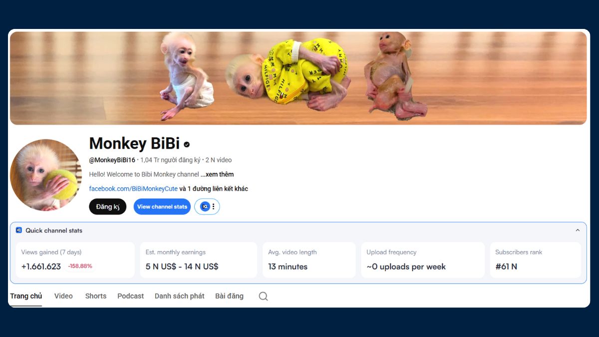 Case Study Khóa Học Làm Affiliate Bằng AI HVMO 