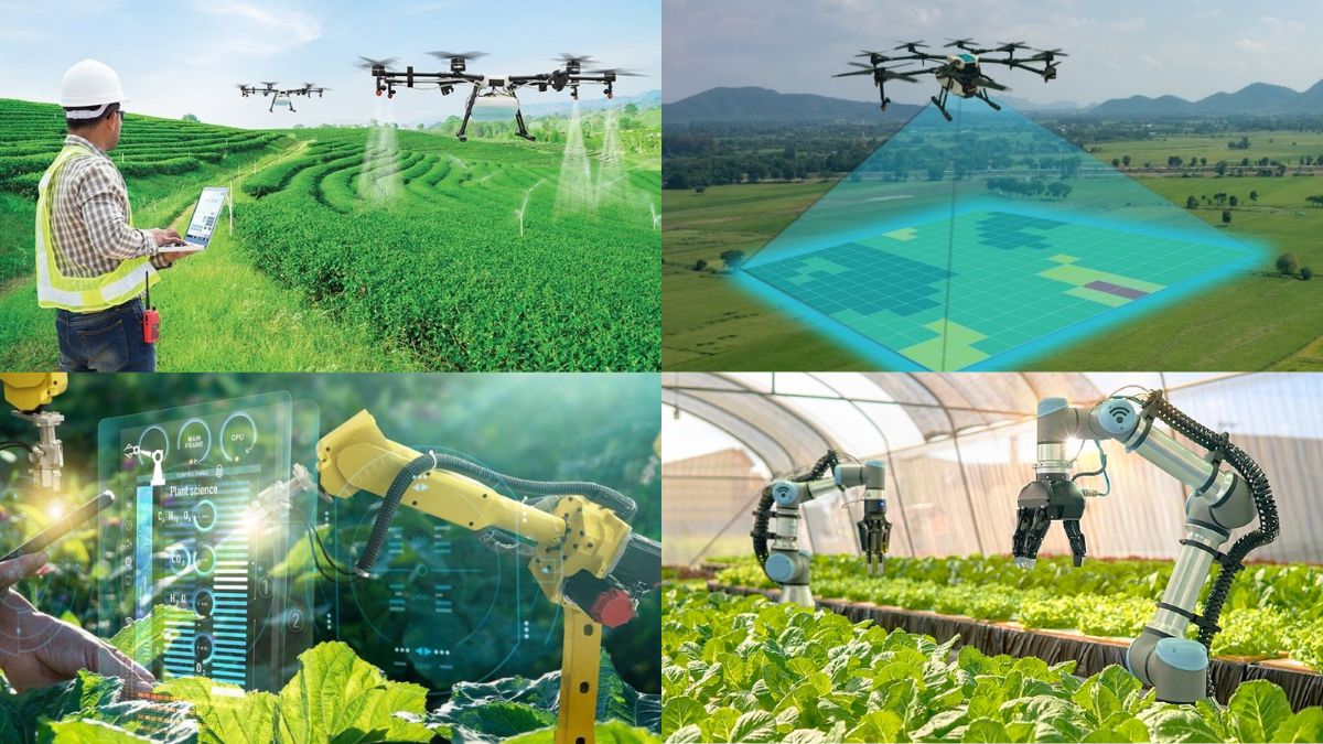 Ngành Nghề Đang Ứng Dụng AI- Nông nghiệp