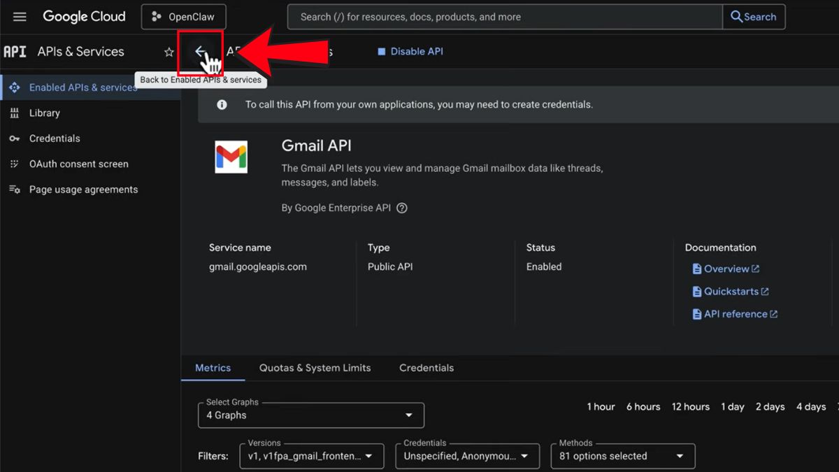 Hướng Dẫn Cách Sử Dụng OpenClaw- Cài đặt kỹ năng GOG bước 2.8