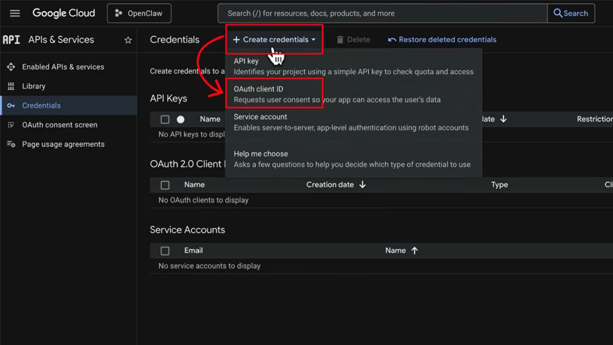 Hướng Dẫn Cách Sử Dụng OpenClaw- Cài đặt kỹ năng GOG bước 4.3