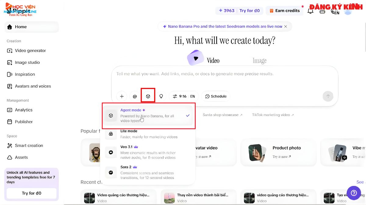 Tạo Video Quảng Cáo Thương Hiệu 1