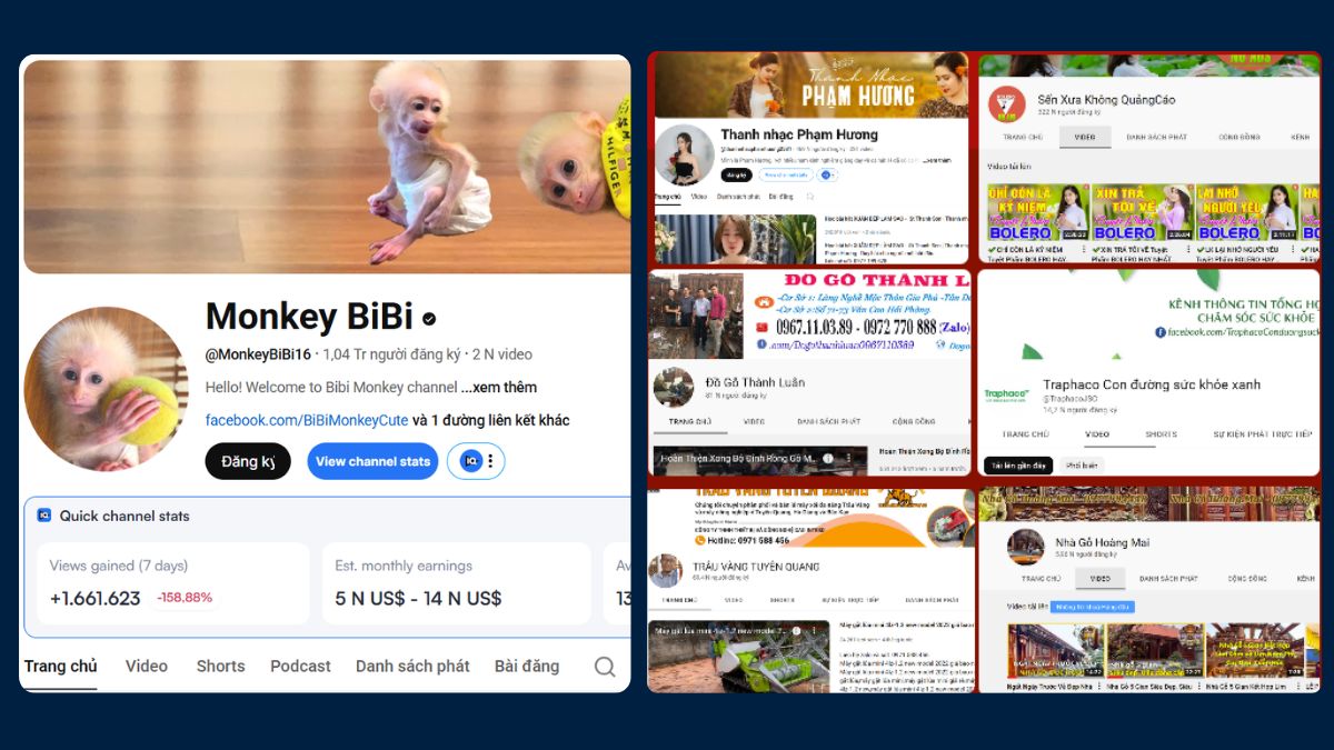 Những Thành Tựu Nổi Bật Của HVMO