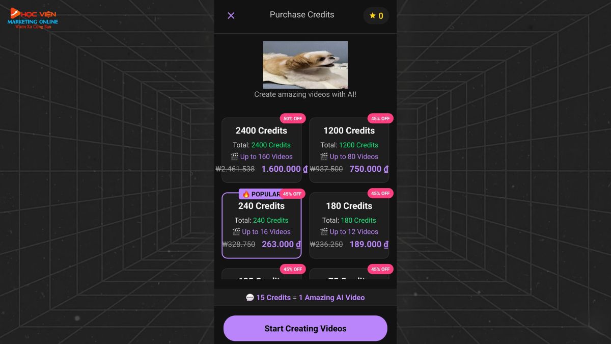 App Tạo Video Bằng AI Trên Điện Thoại- Chi phí Pika AI