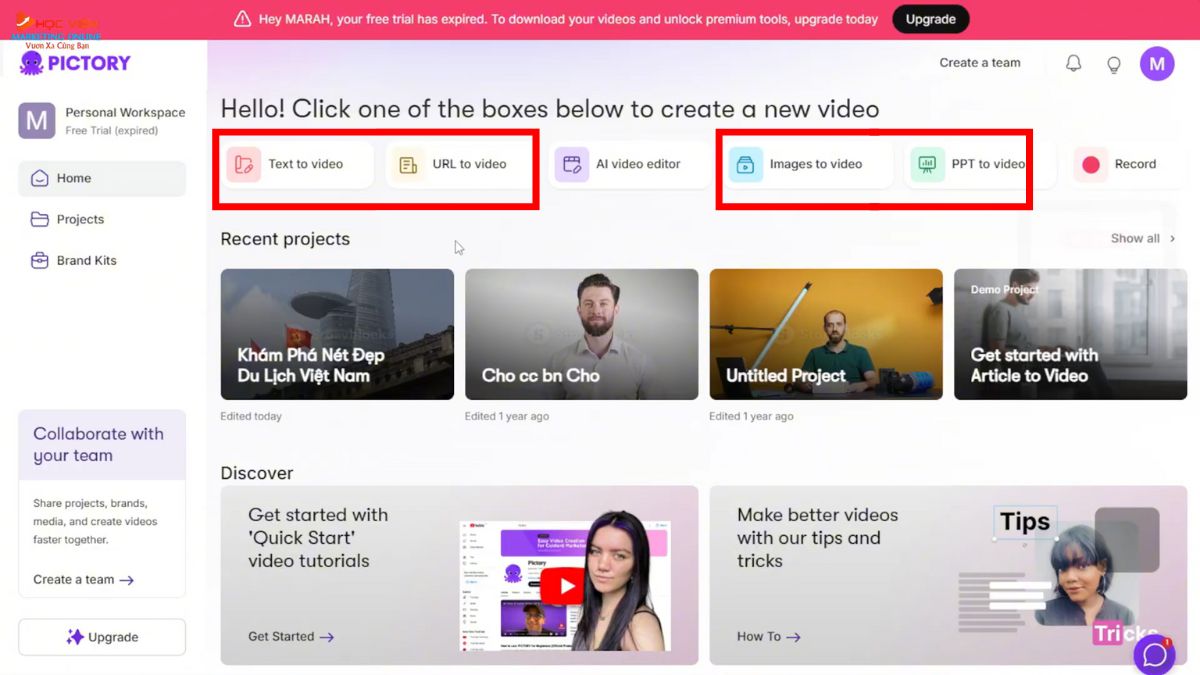 Công cụ làm video Youtube view ngoại bằng AI không lộ mặt- Pictory AI bước 2