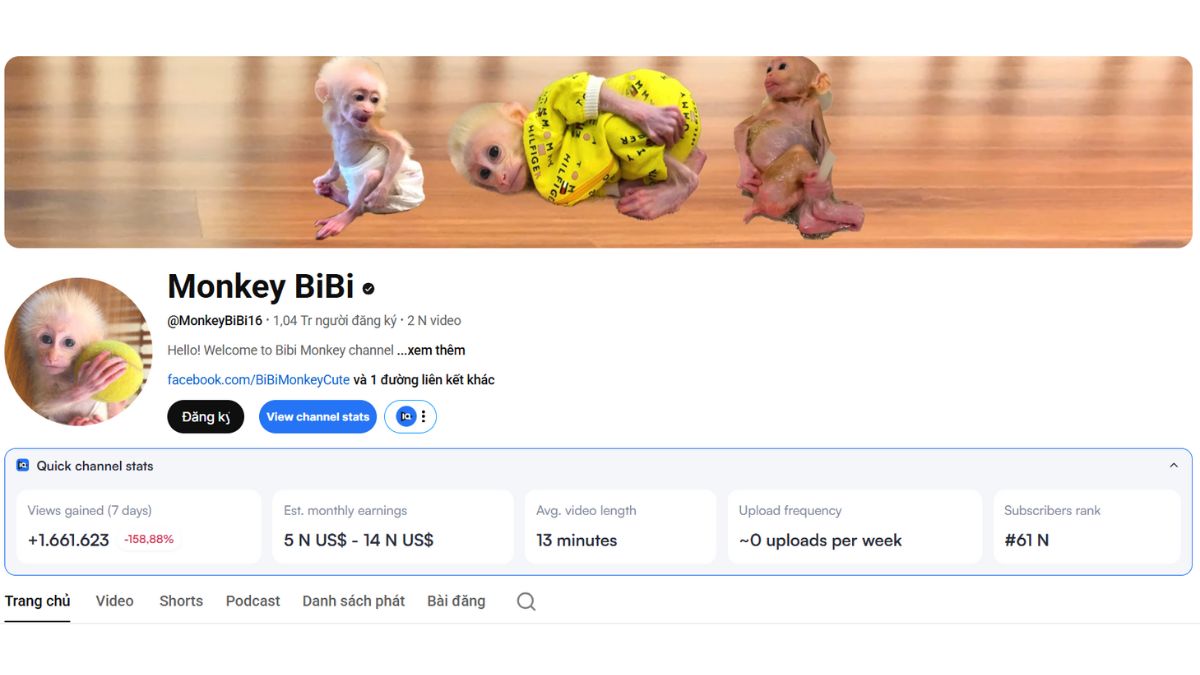 Địa Điểm Học Làm Youtube View Ngoại Tốt Nhất Việt Nam- HVMO case study thật