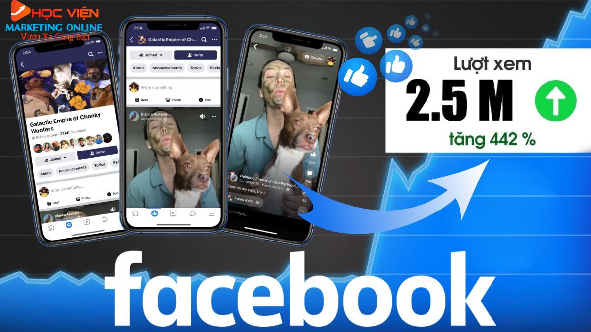 Lợi Ích Của Dịch Vụ Sản Xuất Video Quảng Cáo Facebook- Gia Tăng tỉ lệ chuyển đổi