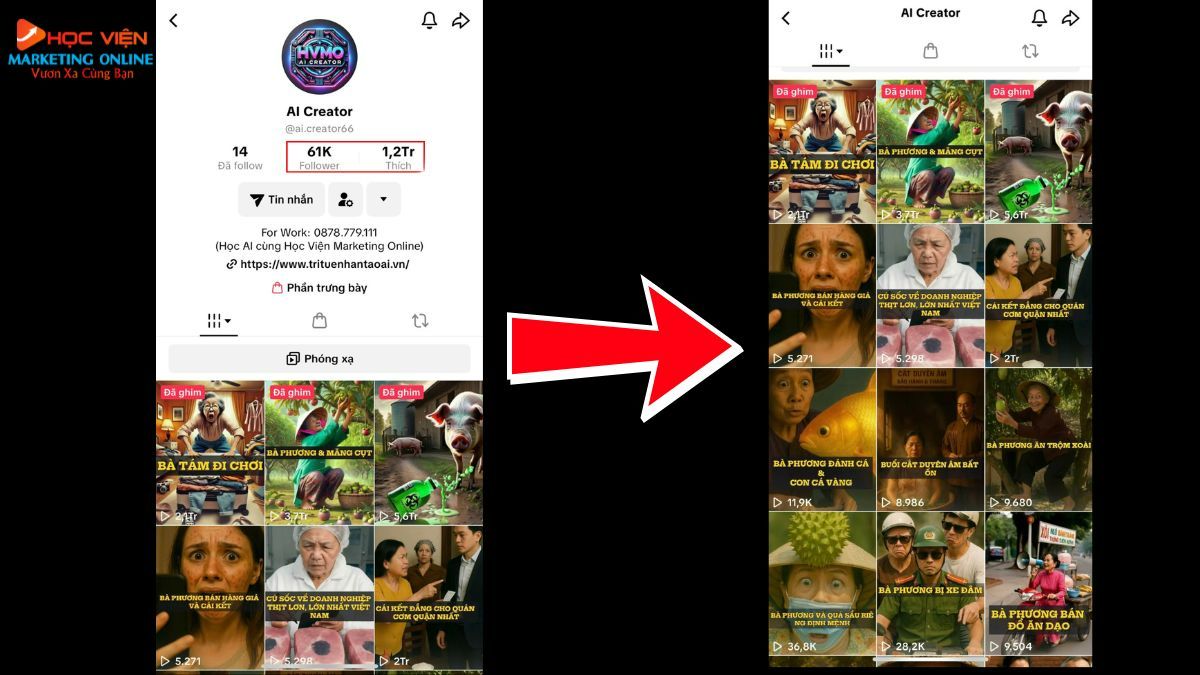 Một Số Dự Án Làm Video Quảng Cáo TikTok Tại HVMO