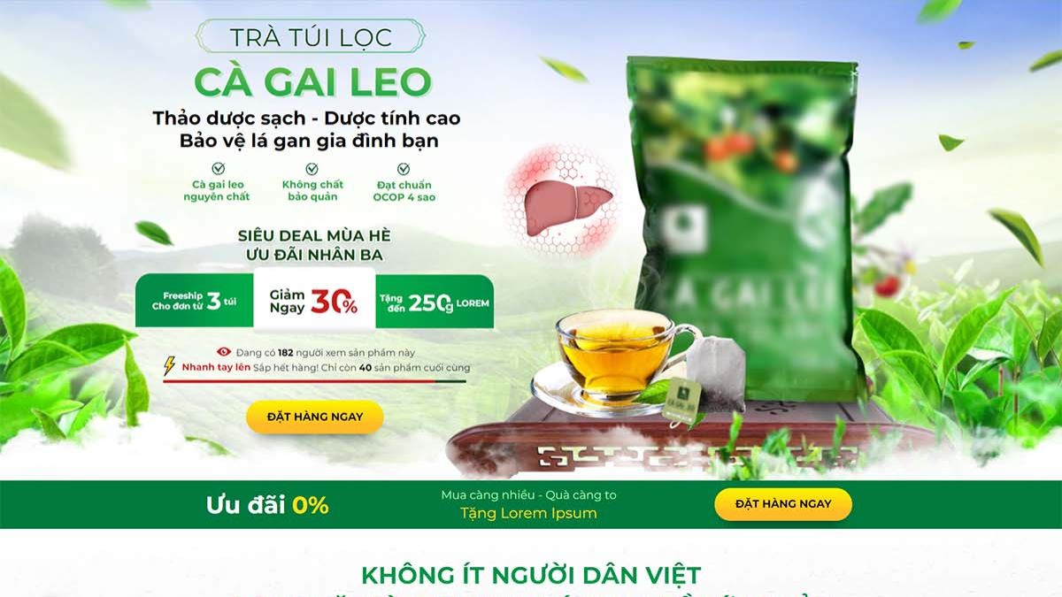 Mẫu 3 Thiết Kế Landing Page Bán Hàng 