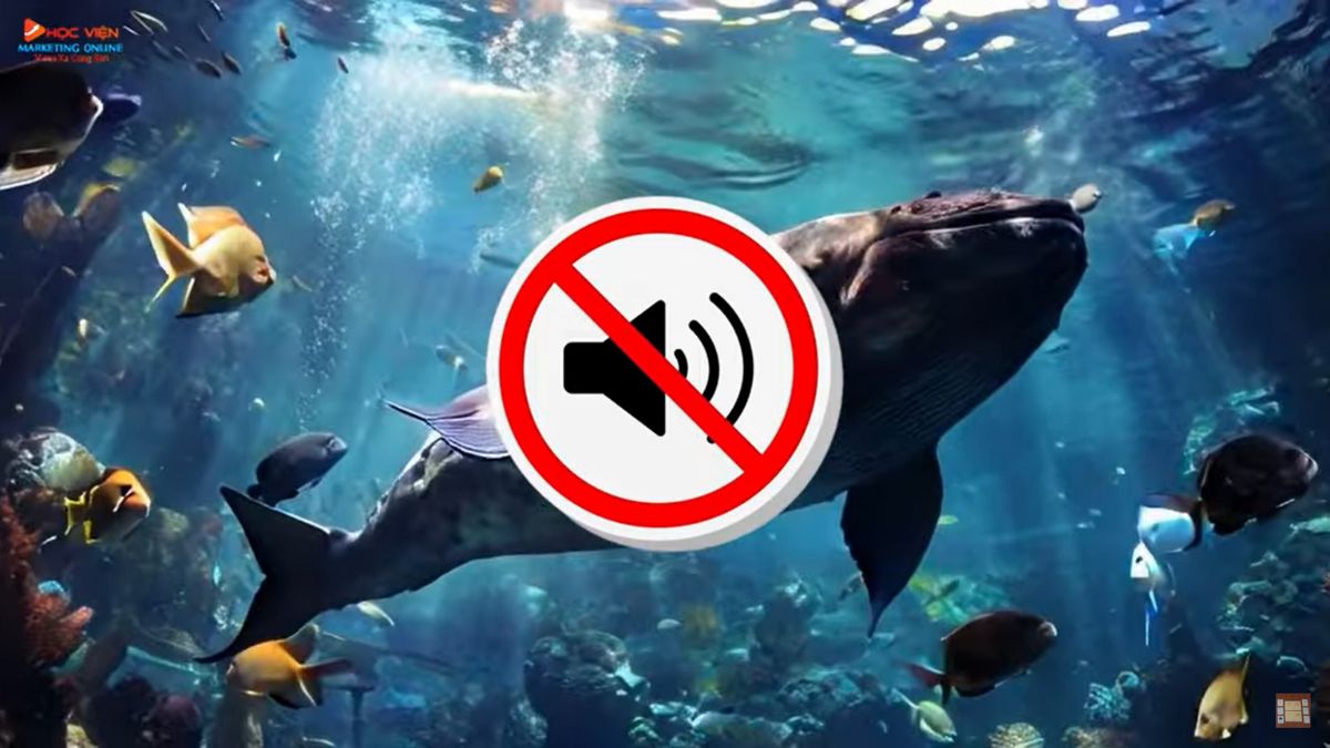 Tính năng mới cập nhật của Kling AI- Thêm hiệu ứng âm thanh