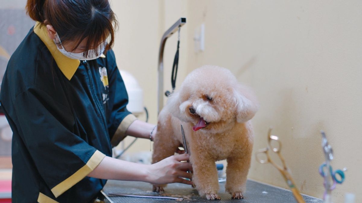 Kiếm Tiền Nhanh Nhất Bằng Công Việc Thời Vụ- Nhận trông trẻ