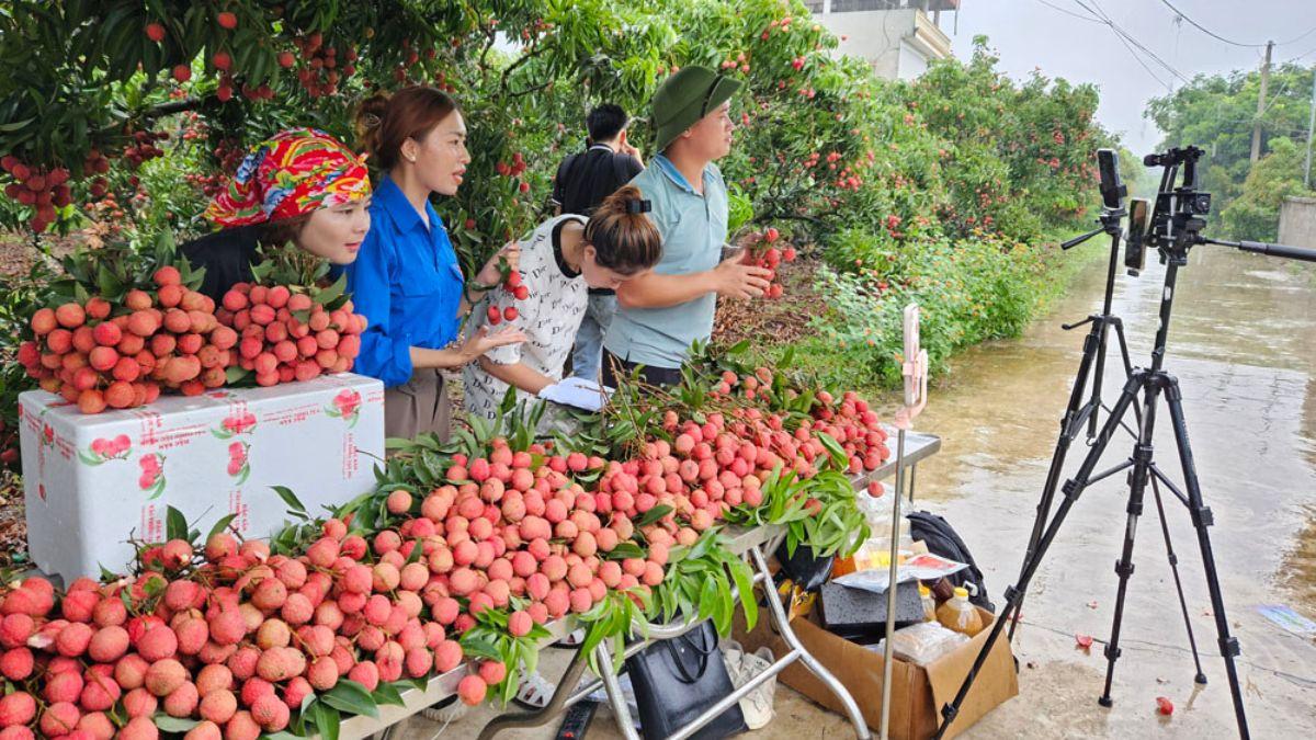 Kiếm tiền online ở nông thôn với phiên livestream nông sản- Chuẩn bị trước livestream bằng trang bị công cụ
