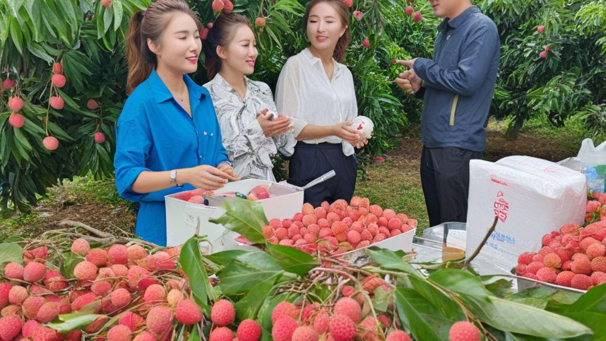 Kiếm tiền online ở nông thôn với phiên livestream nông sản- Bắt đầu livestream bằng mở đầu thu hút độc đáo