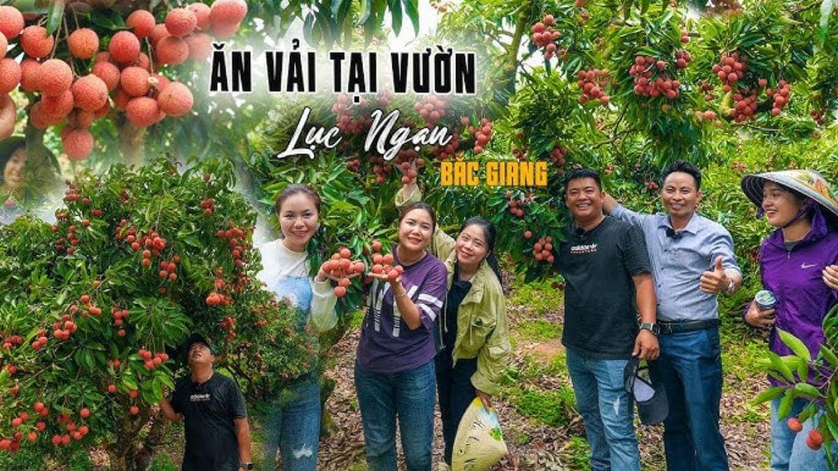 Kiếm tiền online ở nông thôn với phiên livestream nông sản- Bắt đầu livestream bằng kêu gọi đặt hàng