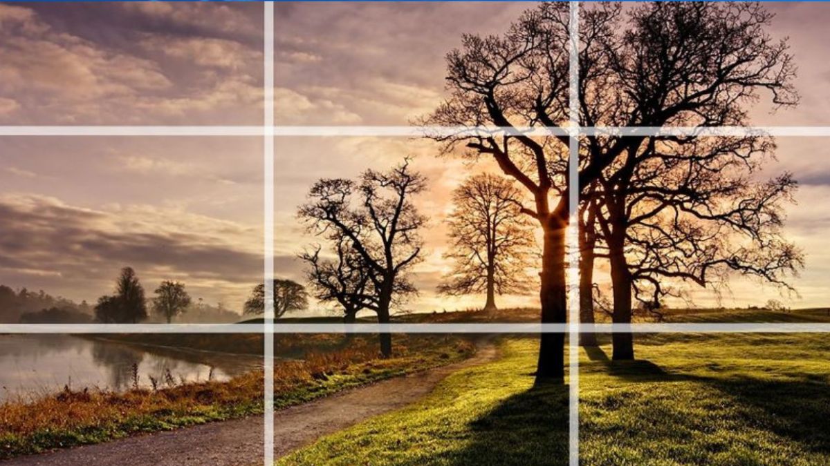 Kinh Nghiệm Quay Dựng Video Quảng Cáo- Bố cục hình ảnh