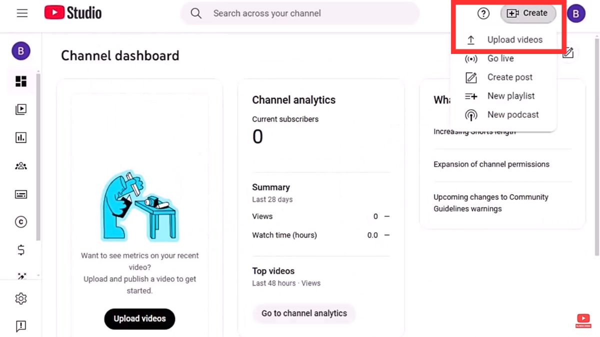Cách làm/kiếm tiền Youtube view ngoại bằng AI với chủ đề giải cứu động vật bước 8.1
