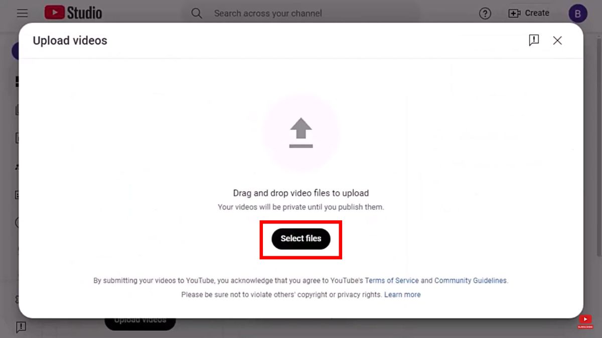 Cách làm/kiếm tiền Youtube view ngoại bằng AI với chủ đề giải cứu động vật bước 8.2