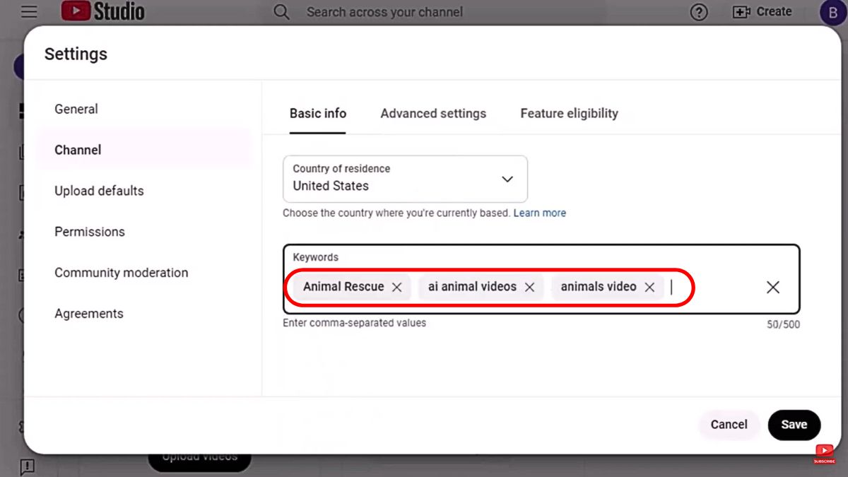Cách làm/kiếm tiền Youtube view ngoại bằng AI với chủ đề giải cứu động vật bước 1.8