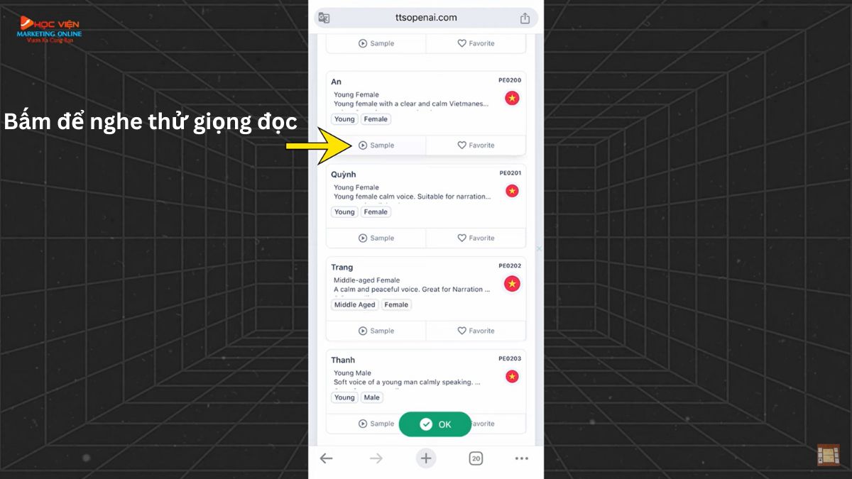 Tạo giọng đọc cho video bằng công cụ Text to Speech bước 3.3