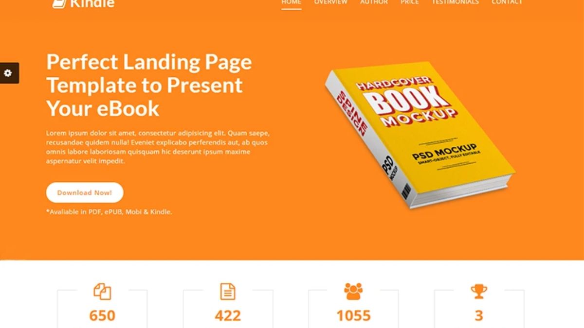 Các Thành Phần Quan Trọng Của Một Landing Page Bán Sách Hiệu Quả- Vấn đề cuốn sách giải quyết