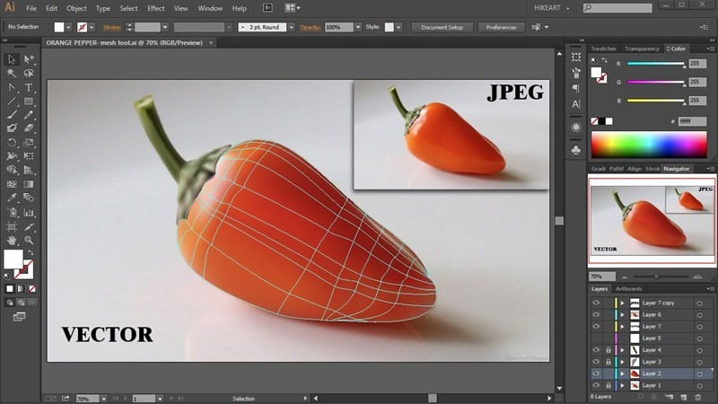 8 tính năng nổi bật của AI Adobe Illustrator- Tạo và vẽ vector