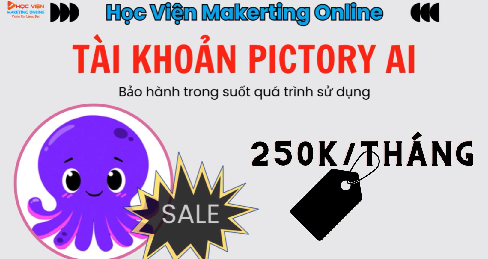 Bảng giá Pictory AI tại HVMO