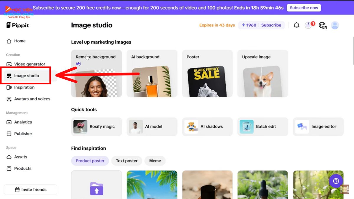 Hướng dẫn cách sử dụng Pippit AI miễn phí- Image Studio 