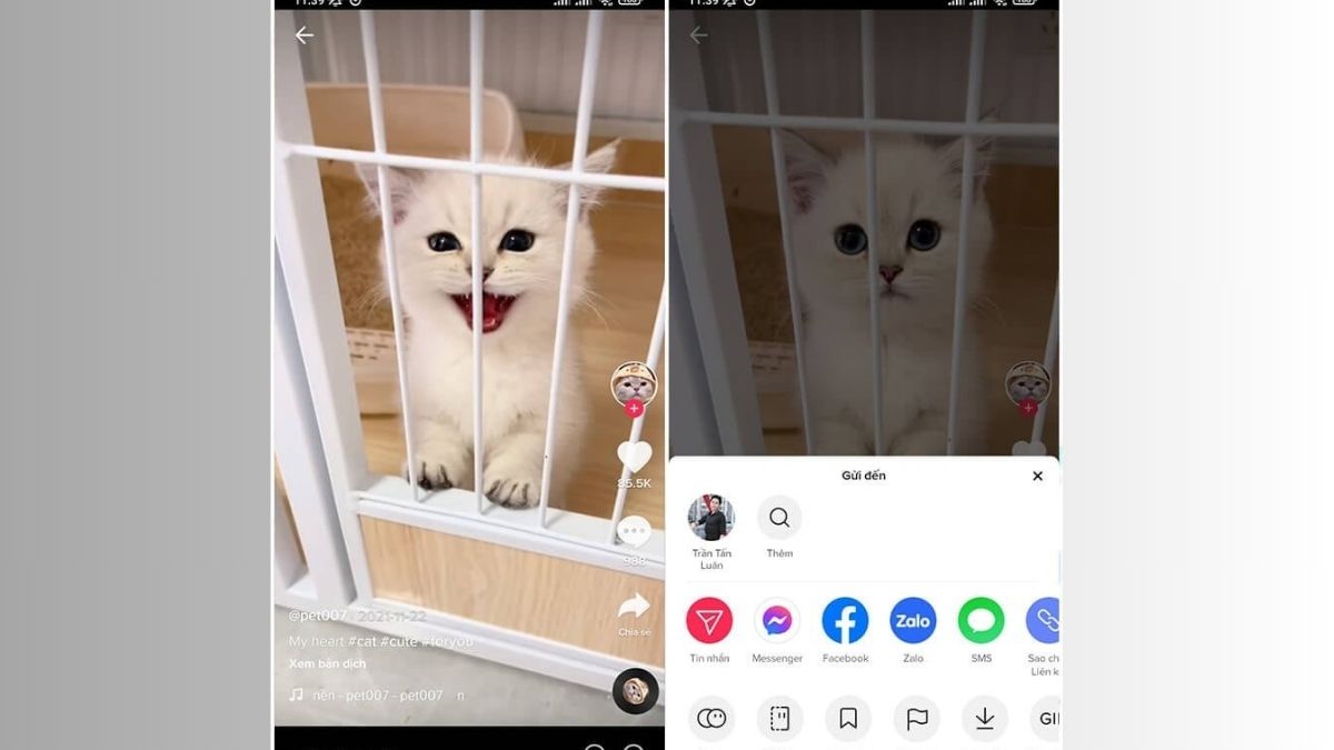 Sai lầm khi xây kênh Tiktok- Sao chép nội dung từ đối thủ