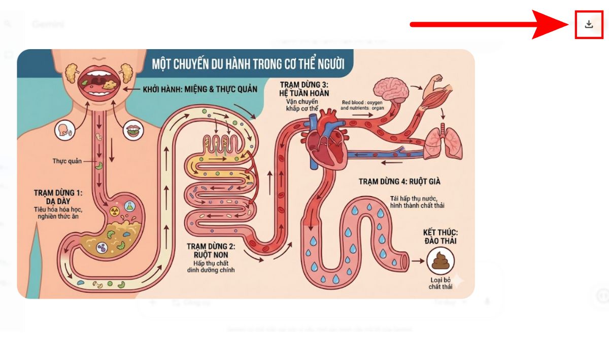 Hướng Dẫn Cách Tạo Infographic Với Nano Banna Pro bước 6.1