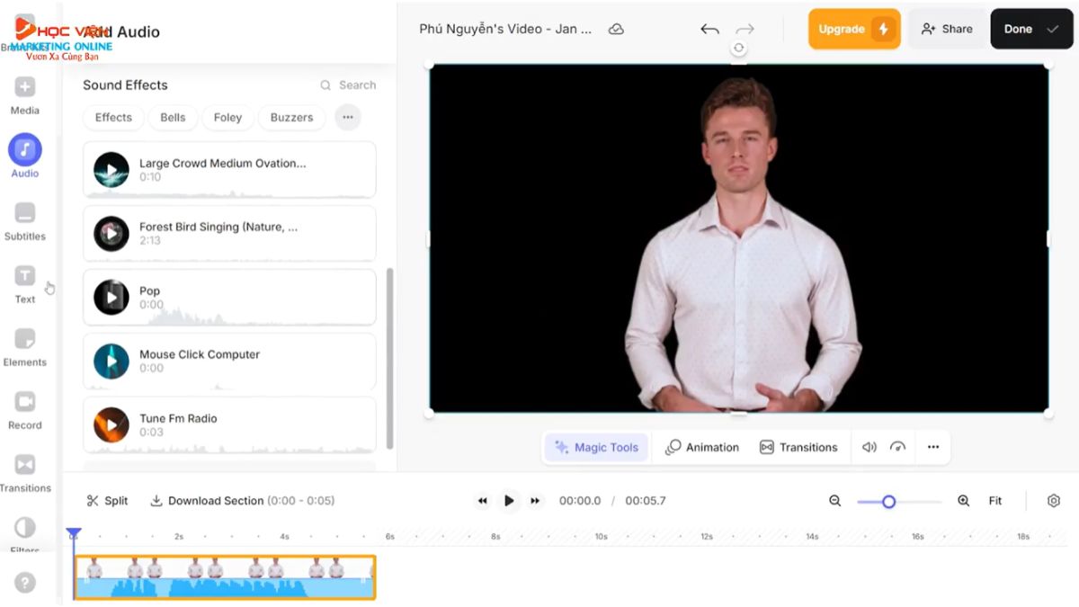 Cách làm video AI nói miễn phí với Veed- Cách sử dụng bước 3.1