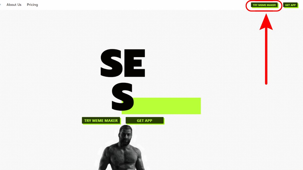 Hướng Dẫn Làm Video Nhảy Bằng AI Trên Máy Tính Với Viggle bước 1.1