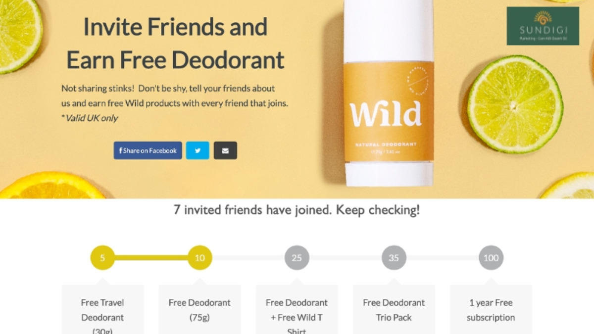 Các Loại Trang Đích Phổ Biến- Trang đích viral