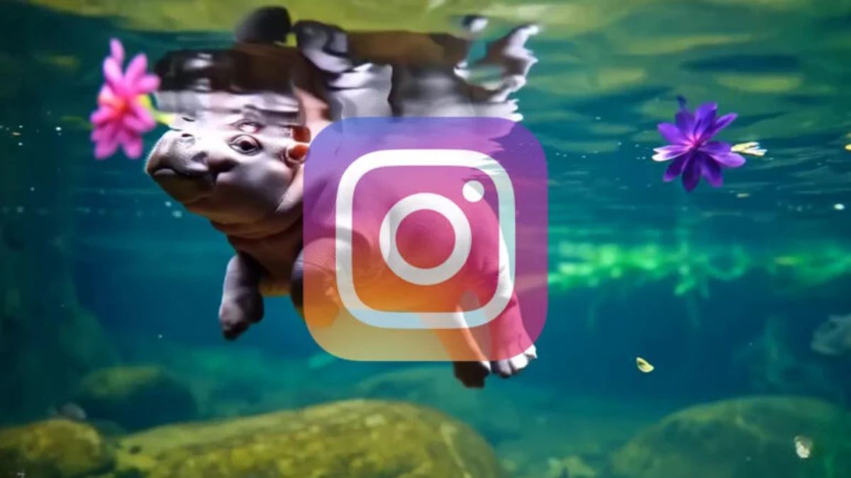 Giới thiệu chung về video AI trên Instagram