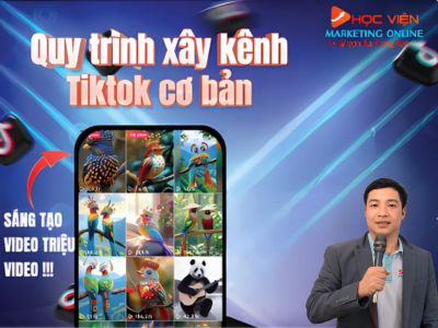 Quy trình xây kênh Tiktok triệu view cơ bản nhất cho người mới bắt đầu