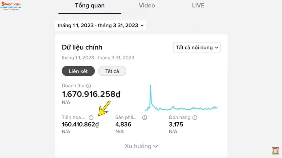 Ý tưởng làm video bằng AI sáng tạo- Kết quả video du lịch